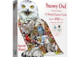 Snowy Owl