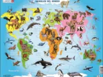 Puzzle Cadre - Animaux du Monde (Espagnol)
