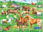 Puzzle Cadre - Beaux chevaux