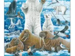 Puzzle Cadre - Ours Polaire & Morse