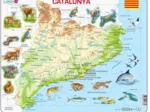 Puzzle Cadre - Catalogne (Catalan)