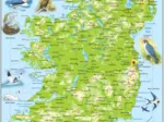 Puzzle Cadre - Carte Topographique de l'Irlande (Anglais)