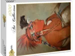 George Catlin : Chesh-Oo-Hoonga