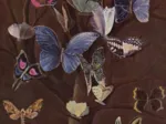 Wilhelm von Kaulbach : Schmetterlinge, 1860