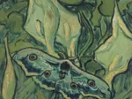 Vincent Van Gogh - Giant Peacock Moth, 1889
