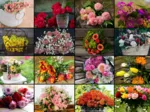 Collage - Fleurs