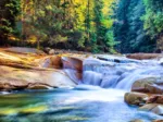 Belle Cascade dans la Forêt