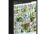 Illustration du Larousse : Les Plantes Médicinales