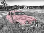 Oldtimer - Rose
