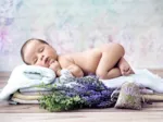 Konrad Bak: Baby Lavender
