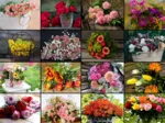Collage - Bouquets de Fleurs