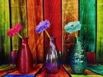 Vases Fleuris et Colorés