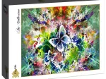 Fleurs et Papillons de Printemps