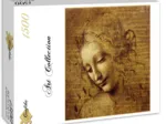 Léonard de Vinci : Visage de Giovane Fanciulla, 1508