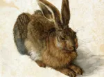 Albrecht Dürer - Le Lapin, 1502