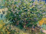 Vincent Van Gogh - Lilas, 1889