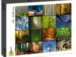 Collage - Arbres