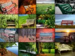 Collage - Bancs
