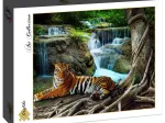 Tigre et Cascade