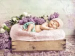 Konrad Bak: Baby sleeping in the Lilac