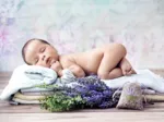 Konrad Bak: Baby Lavender