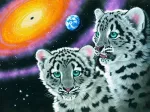 Schim Schimmel - Miracle of the Universe