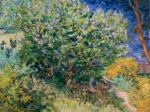 Vincent Van Gogh - Lilas, 1889