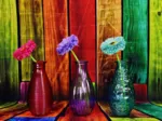 Vases Fleuris et Colorés