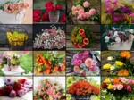 Collage - Bouquets de Fleurs