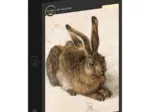 Dürer - Le Lapin
