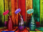 Vases Fleuris et Colorés