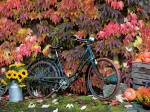 Automne