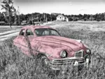 Oldtimer - Rose