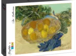 Vincent Van Gogh - Still Life of Oranges and Lemons with Blue Gloves, 1889