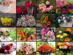 Collage - Fleurs