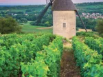 Moulin Sorine - Vignoble de Santenay - Bourgogne
