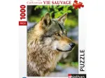 Loup Gris Européen