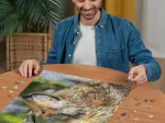 Loup Gris Européen