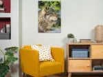 Loup Gris Européen