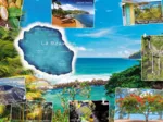 Carte Postale de la Réunion