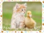 Chaton Roux et Bébé Canard