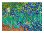 Vincent Van Gogh - Les Iris