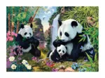 Secret Puzzle - Pandas
