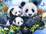 Panda Family