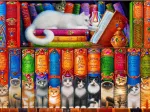 Cat Bookshelf