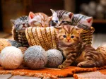 Kittens in Basket