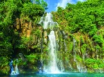 La Réunion - Cascades des Aigrettes et du Cormoran