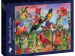 Birds and Blooms Garden
