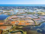 44 - Loire Atlantique - Marais Salants Guérande, Batz-sur-Mer, France