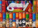 Cat Bookshelf